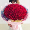 99 red rose delivery with rainbow baby breath singapore