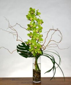 Green cymbidium orchid flower arrangement