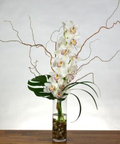 white cymbidium orchid arrangement