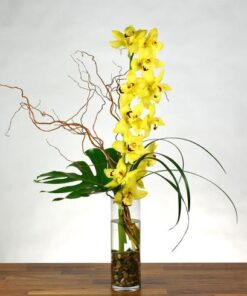yellow cymbidium orchid arrangement