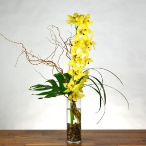 yellow cymbidium orchid arrangement