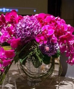 Orchid