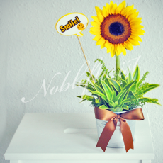 table-flower-arrangement-single-stalk-sunflower