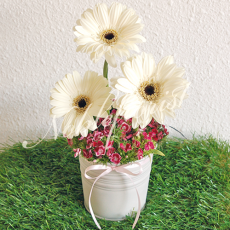 table-flower-arrangement-white-gerbera