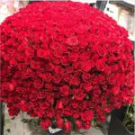 999 1000 red roses
