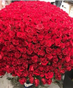 999 1000 red roses